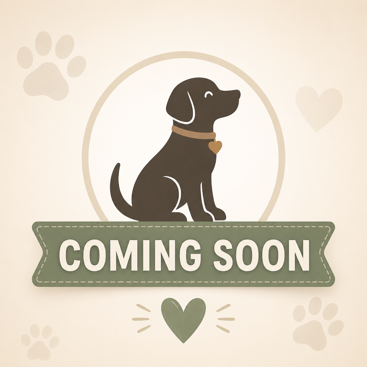 Photo coming soon for Cairo at Animal Welfare League of Illinois