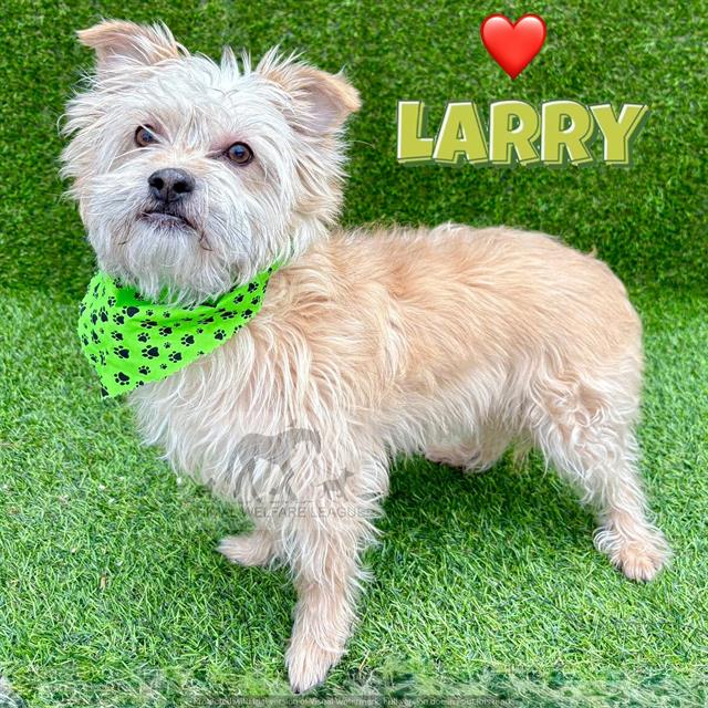 Larry at Animal Welfare League