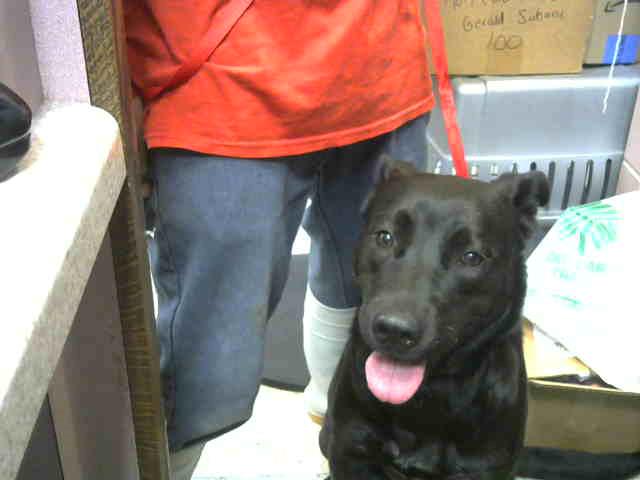 Smuckers at Animal Welfare League