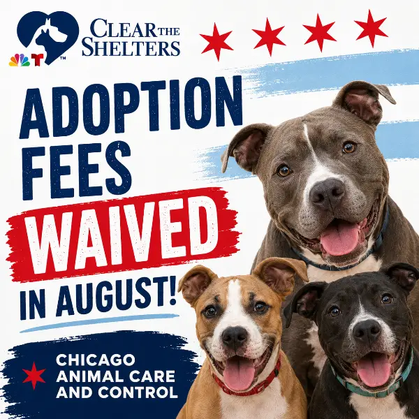 Clear the Shelters at Chicago Animal Care and Control