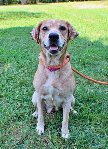 Edna at Wright-Way Rescue