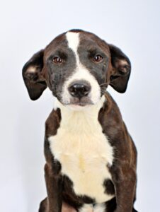 Bob at Wright-Way Rescue