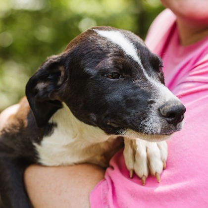 Bob at Wright-Way Rescue