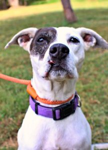 Gaby at Wright-Way Rescue