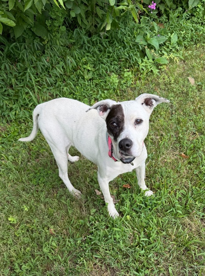 Gaby at Wright-Way Rescue