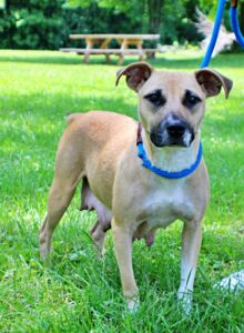 Samantha at Wright-Way Rescue