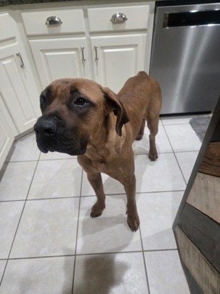 Bridgett at Wright-Way Rescue