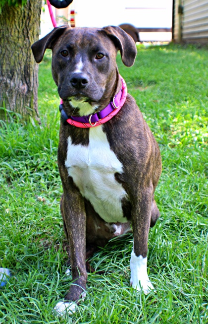 August at Wright-Way Rescue