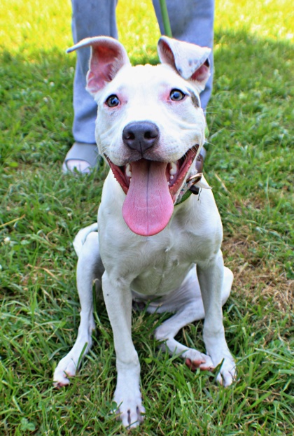Mary at Wright-Way Rescue