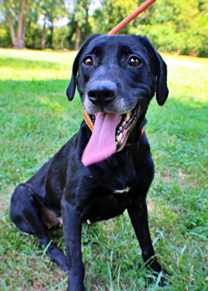 Layla at Wright-Way Rescue