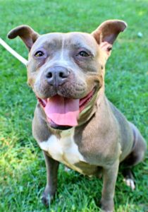 Bella at Wright-Way Rescue