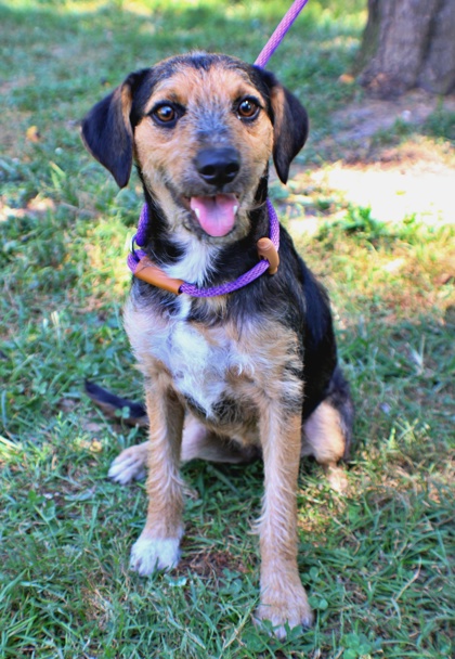 Yayni at Wright-Way Rescue