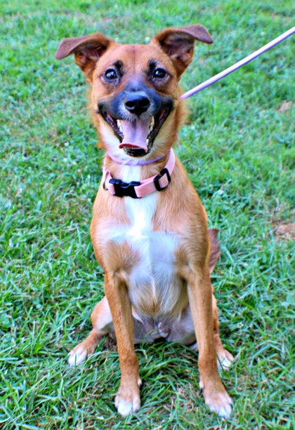 Rumi at Wright-Way Rescue