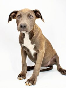 Nancy at Wright-Way Rescue