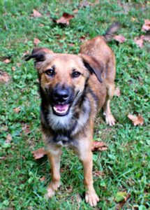 Tig at Wright-Way Rescue