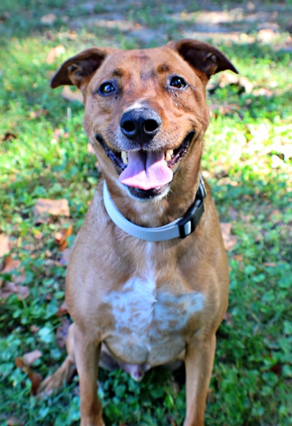 Zion at Wright-Way Rescue
