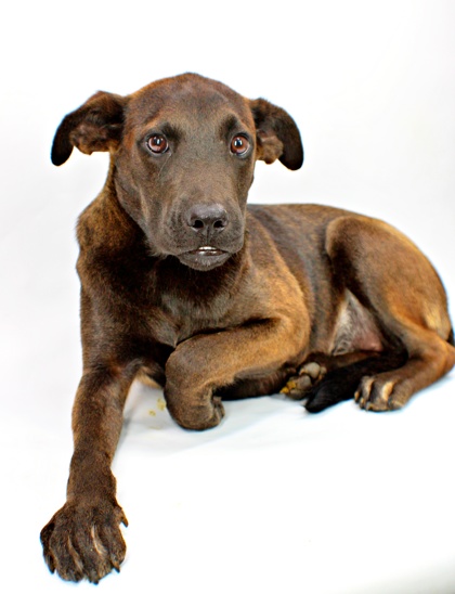 Imogen at Wright-Way Rescue