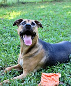 Jerry at Wright-Way Rescue
