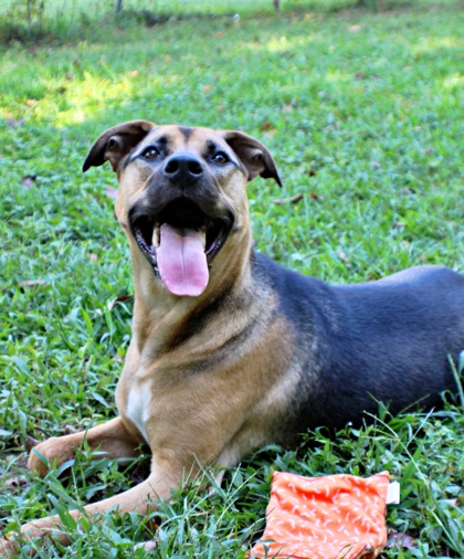 Jerry at Wright-Way Rescue