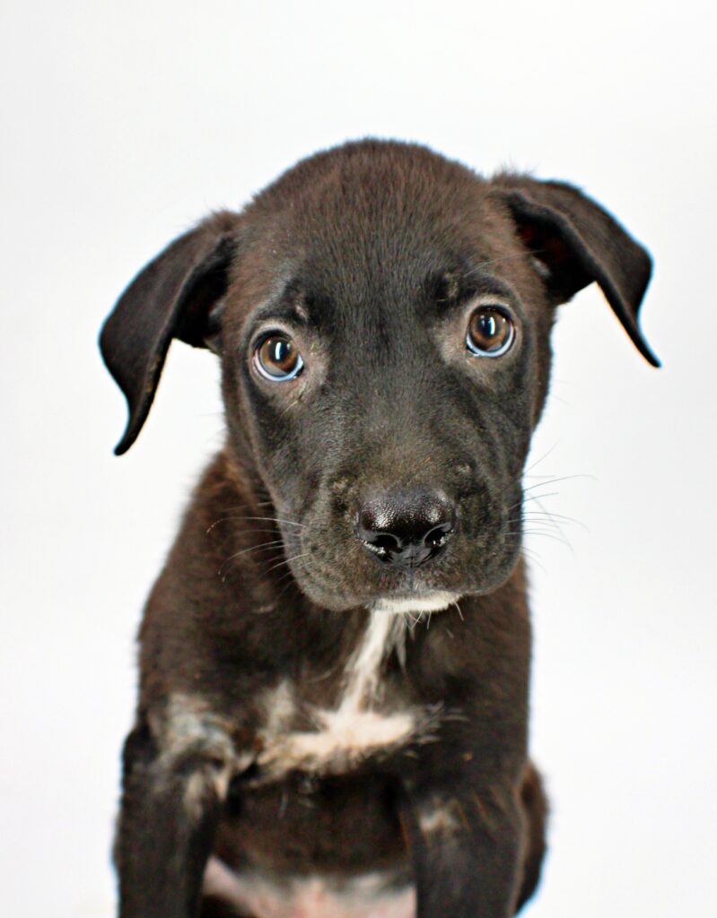 Jason at Wright-Way Rescue