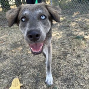Ghost at Wright-Way Rescue